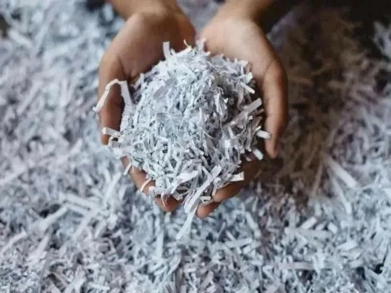 Document Shredding Business Plan