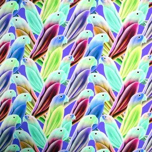 Parakeet Multi Color Printed Spandex | Blue Moon Fabrics