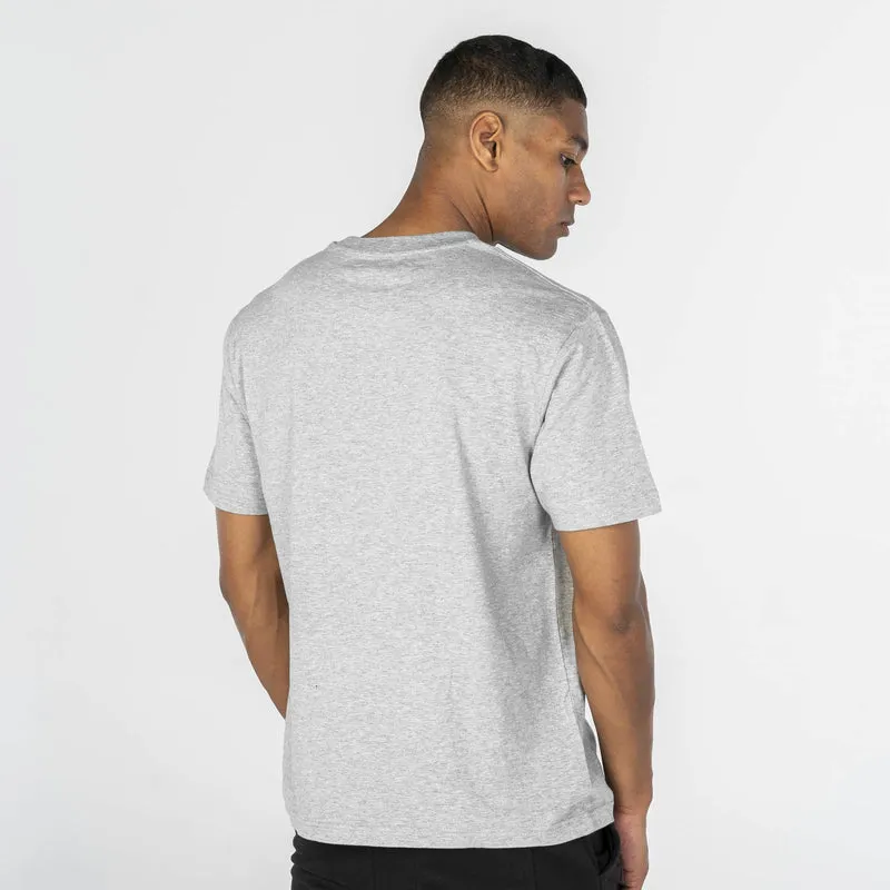 Unisex Organic Cotton T-shirt | Grey