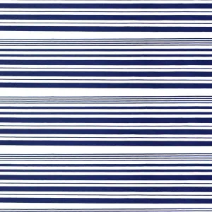 Variation Stripe Printed Spandex | Blue Moon Fabrics